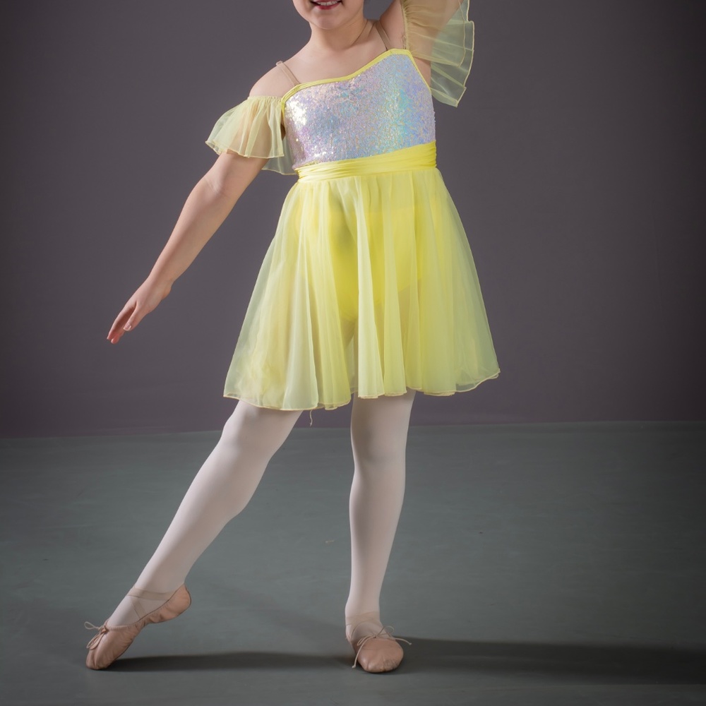 Ballet recital costume